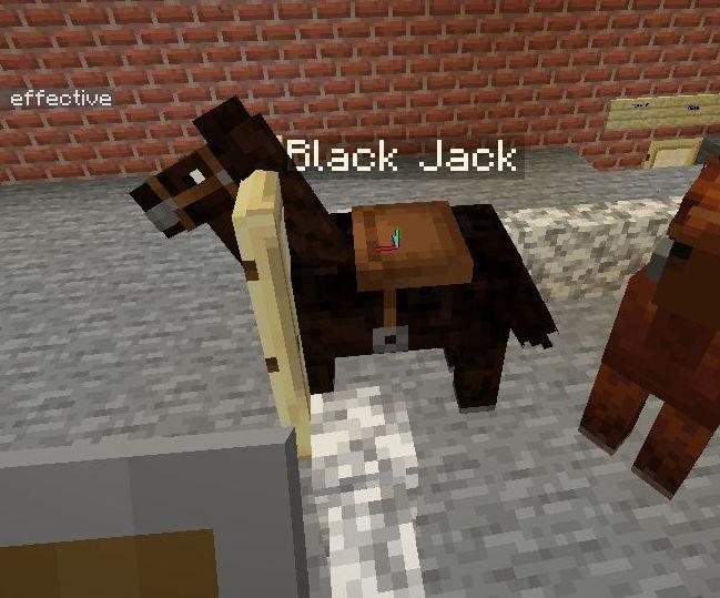 Black Jack Horse